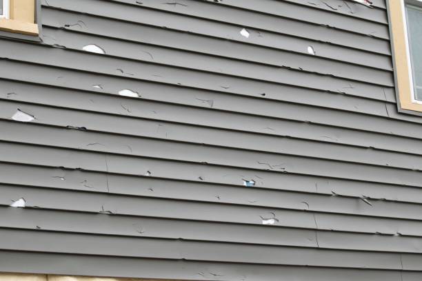 Best Historical Building Siding Restoration  in Washington Park, IL