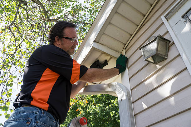 Best Brick Veneer Siding  in Washington Park, IL